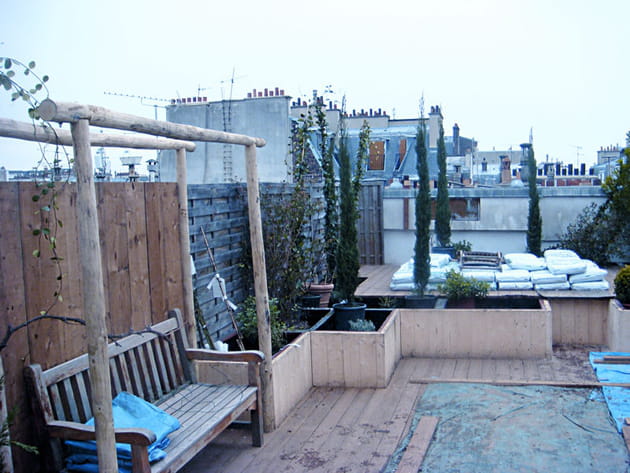 Plantation des cyprès