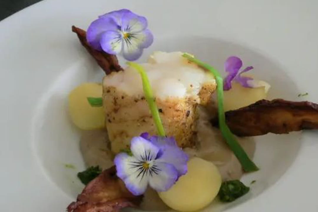 Filet de lotte poélé à la mousseline de cèpes