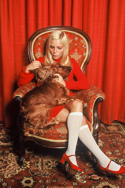 "J'ai retrouv&eacute; mon chien"