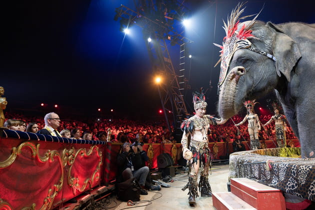 Albert de Monaco profite d'un show extraordinaire : Festival de Monte-Carlo