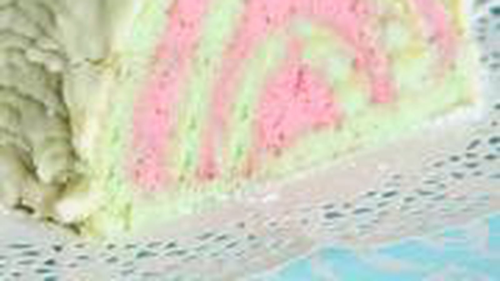 Bûche framboise pistache chocolat