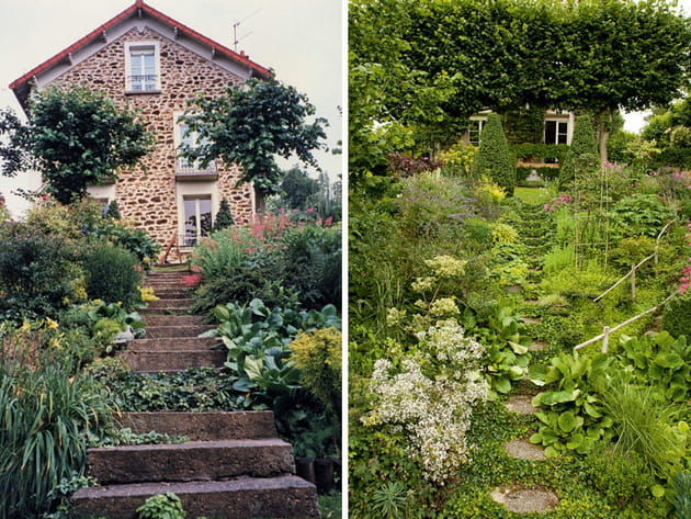 Un escalier en lierre