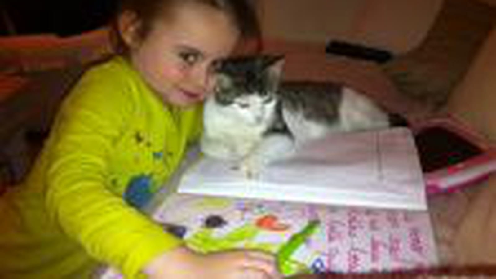 Soutien scolaire