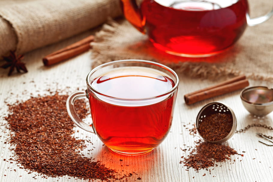 Rooibos : bienfaits, contre-indications, c'est quoi ?
