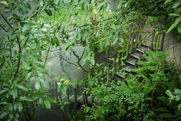 Le vallon des Brumes