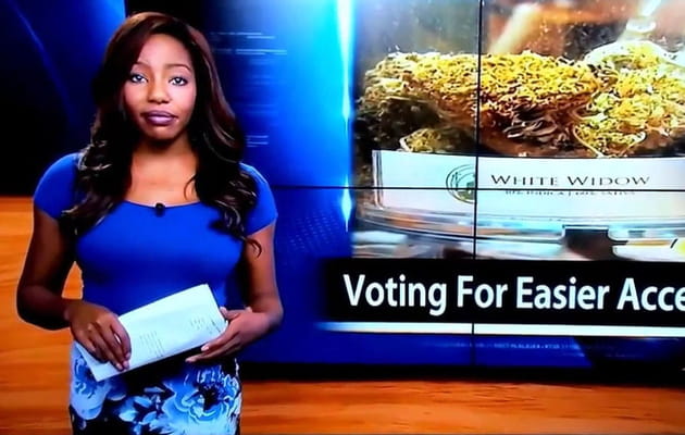 cannabis journalsite capture d'ã©cran youtube