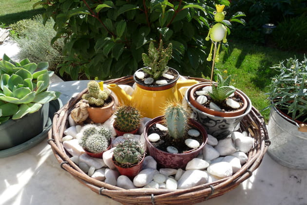 Une corbeille bien pleine