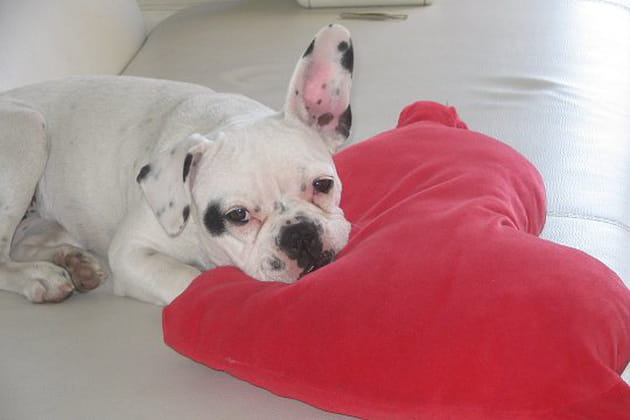 L'irr&eacute;sistible Thelma