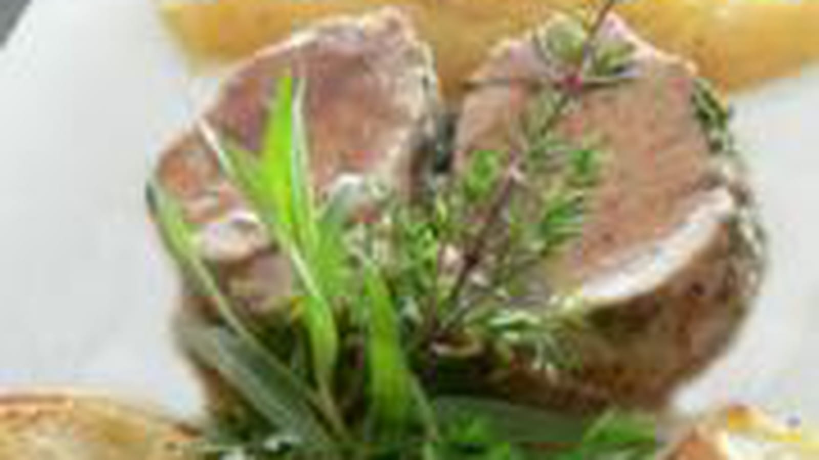 Filet mignon, pommes cannelle