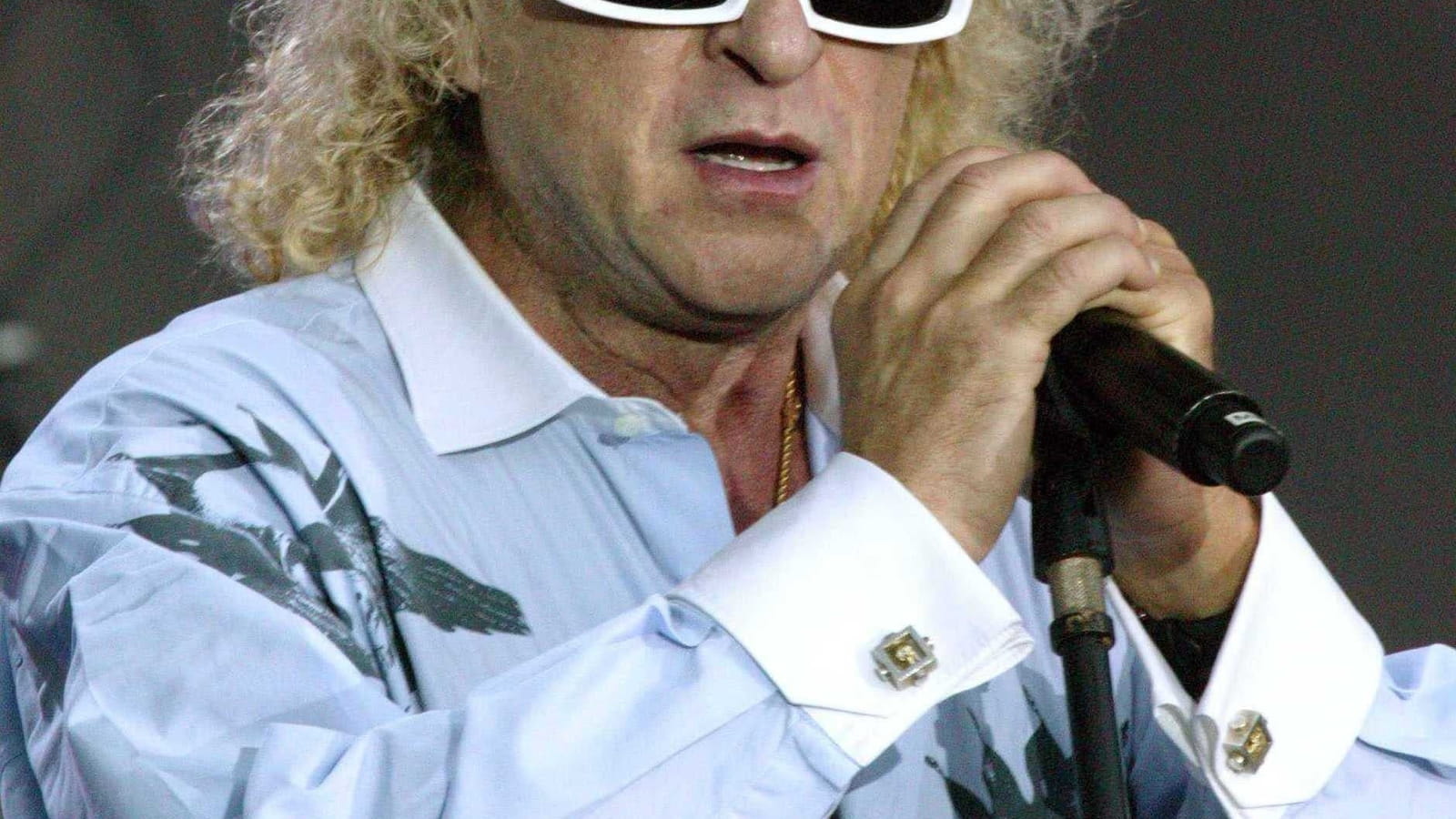 Michel Polnareff 