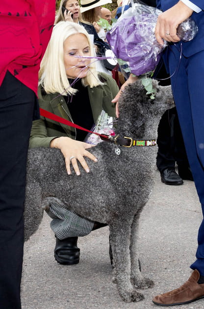 Princesse Mette-Marit de Norv&egrave;ge a du chien