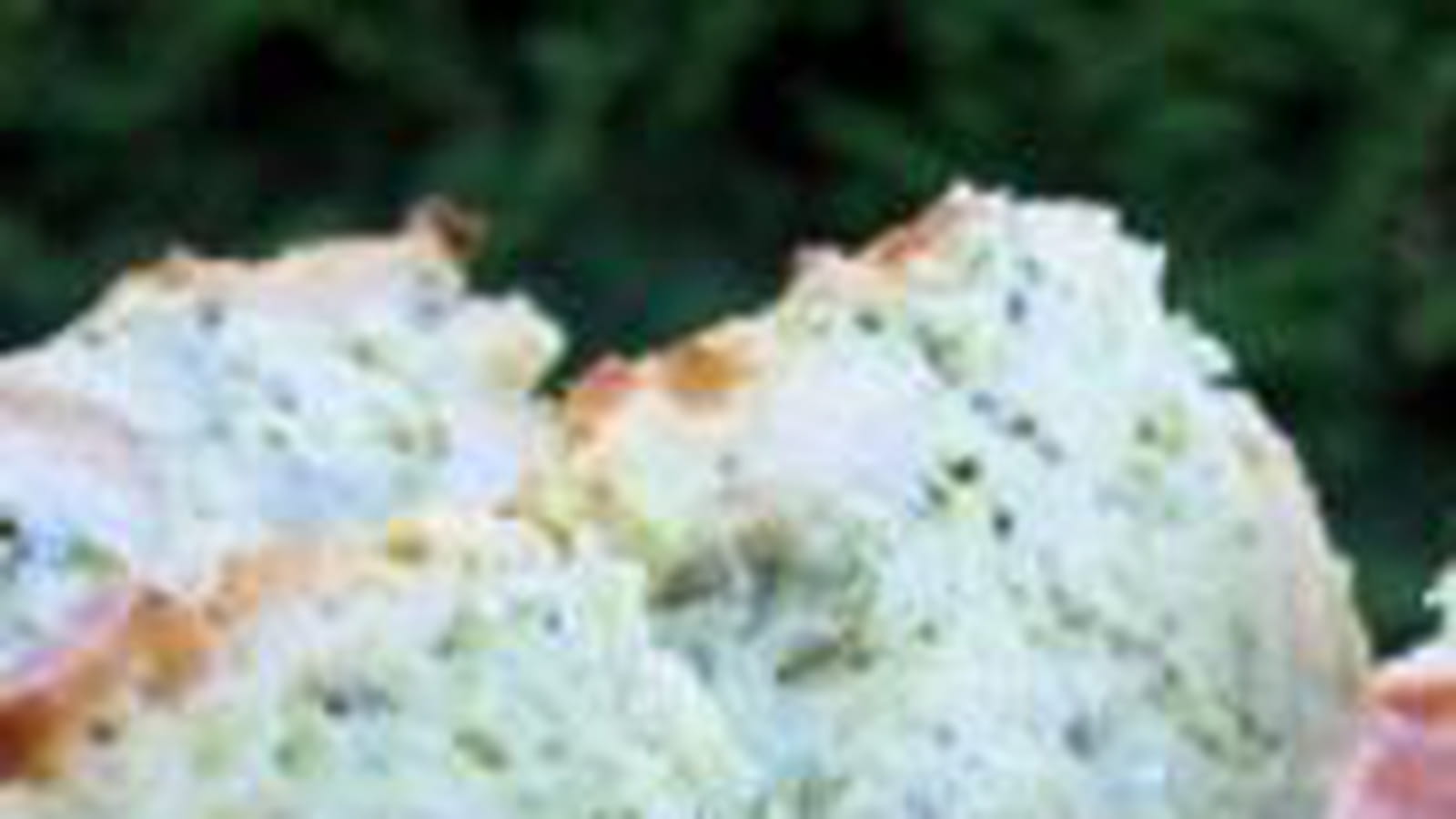 Terrine de courgettes