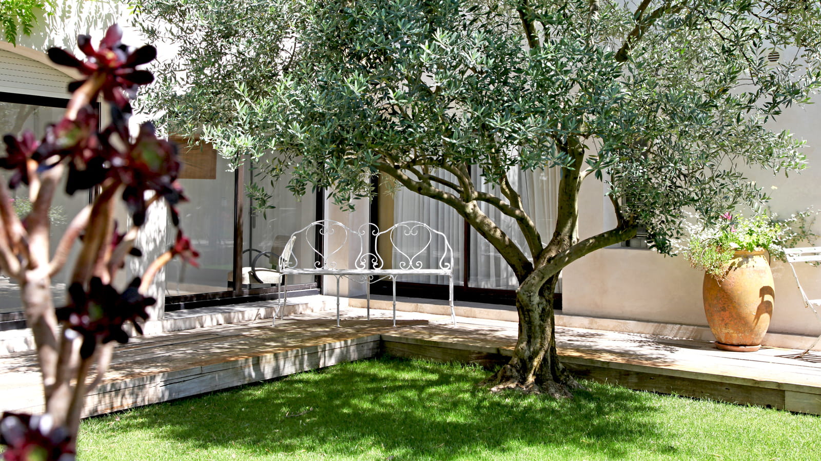 Patio à l'olivier