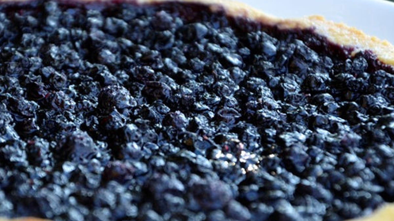 Tartes aux myrtilles sauvages