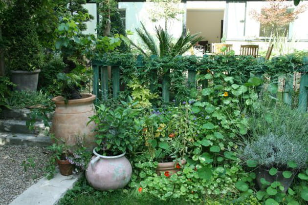 Un jardin surprenant