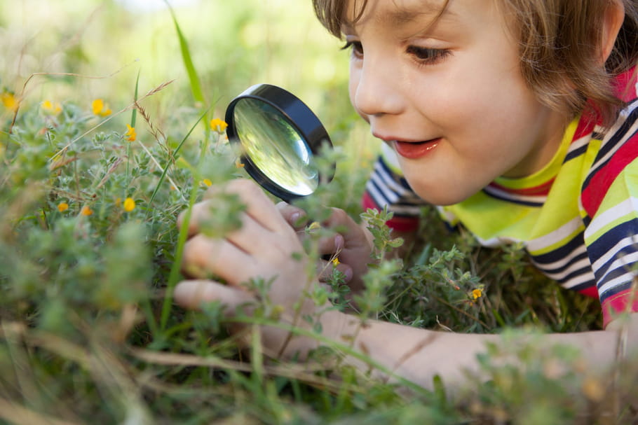 De l'harmonie avant toute chose chez les enfants doués