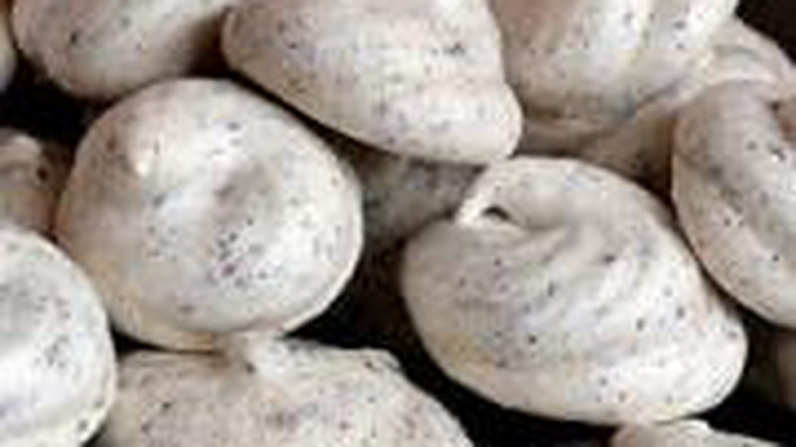 Meringues stracciatella