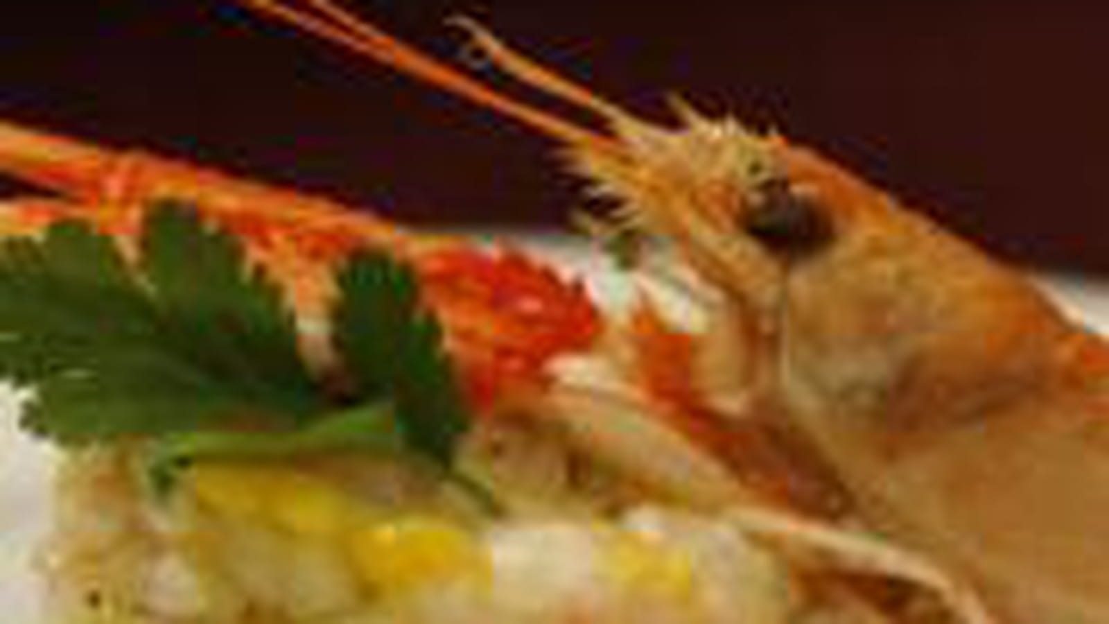 Tartare langoustine mangue