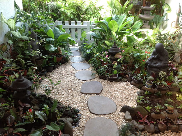 L'esthétique apaisante du jardin japonais