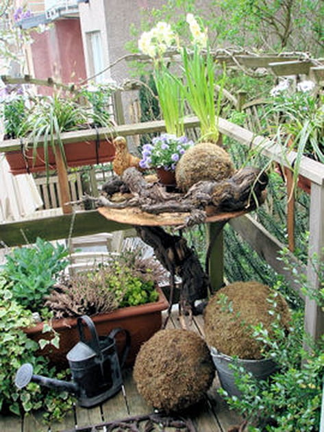 Un balcon foisonnant