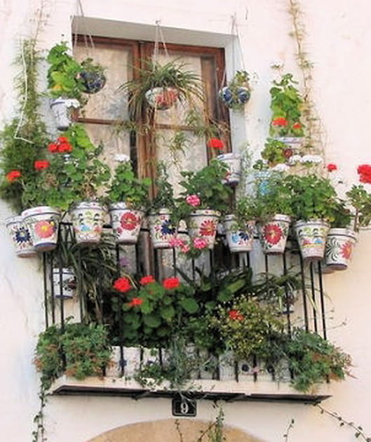 Des pots en tous genres