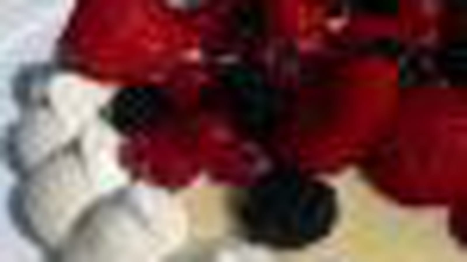 Fruits rouges