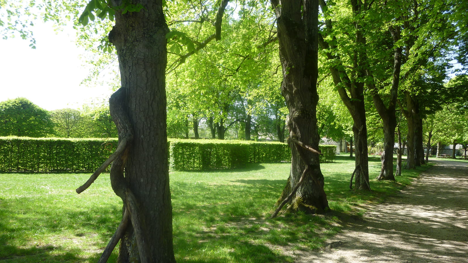 Allée de gardiens