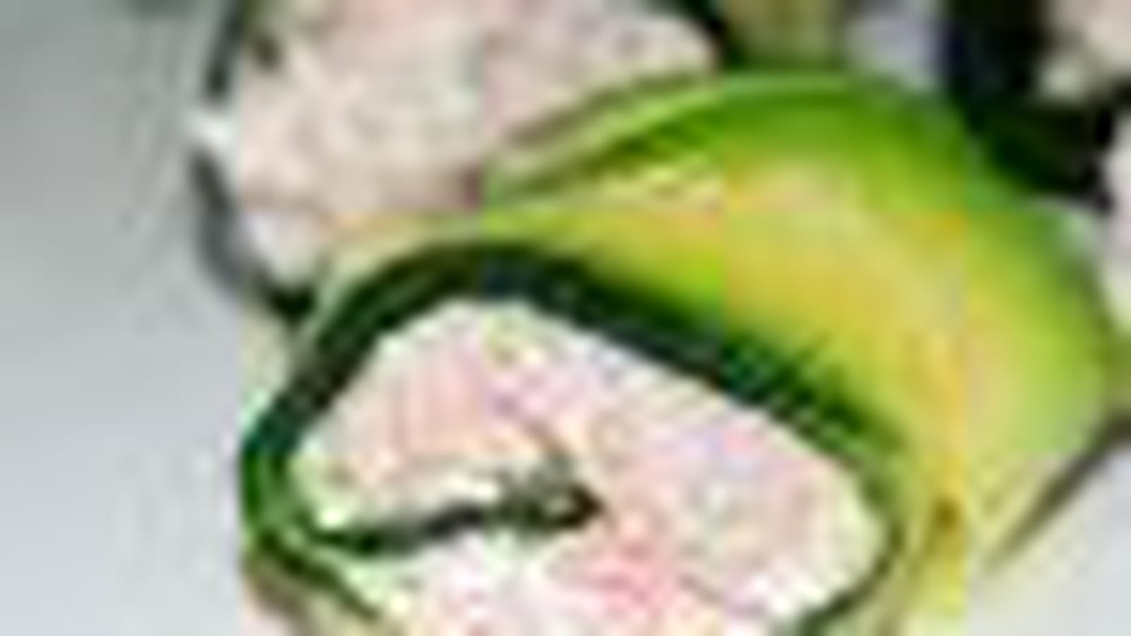 Roulades de courgettes au thon