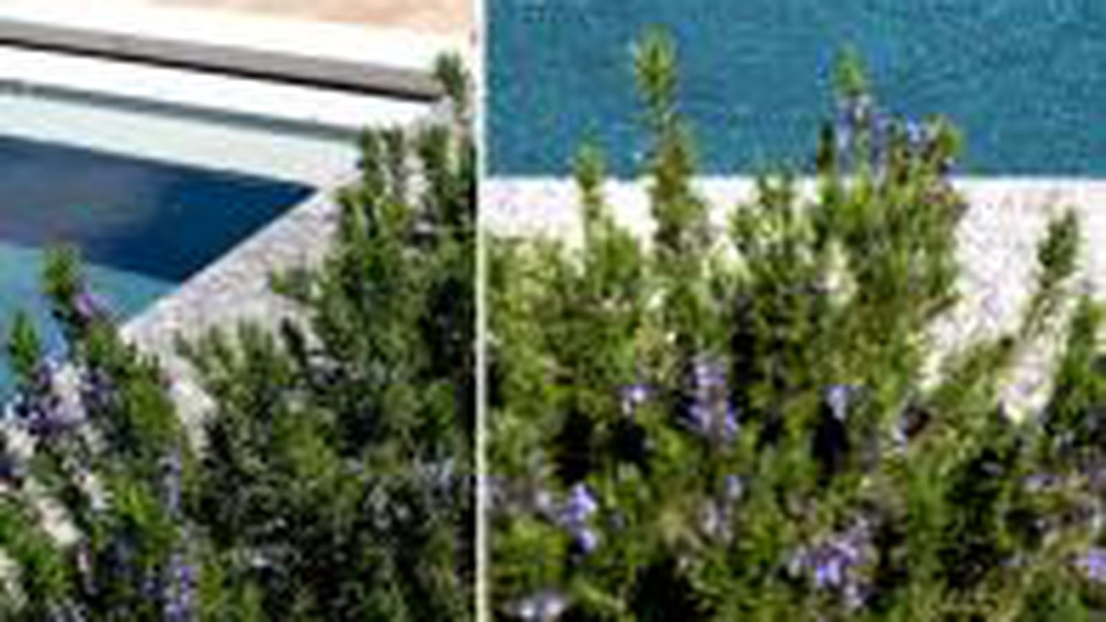 Piscine bleutée