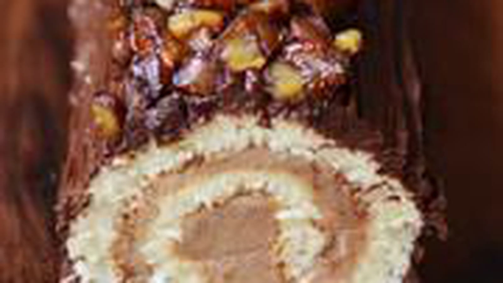 Bûche L'Épicurien roulée à la crème de marrons et au chocolat