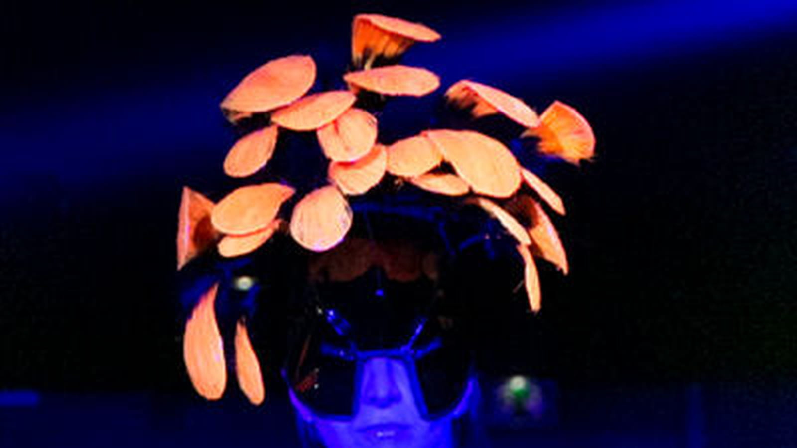 La coiffure champignon