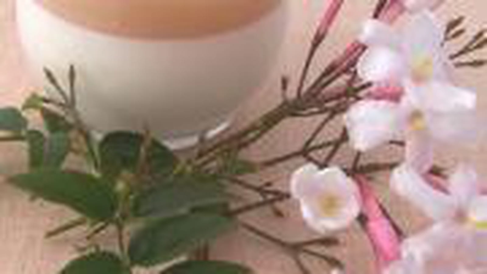 Panna cotta jasmin litchi