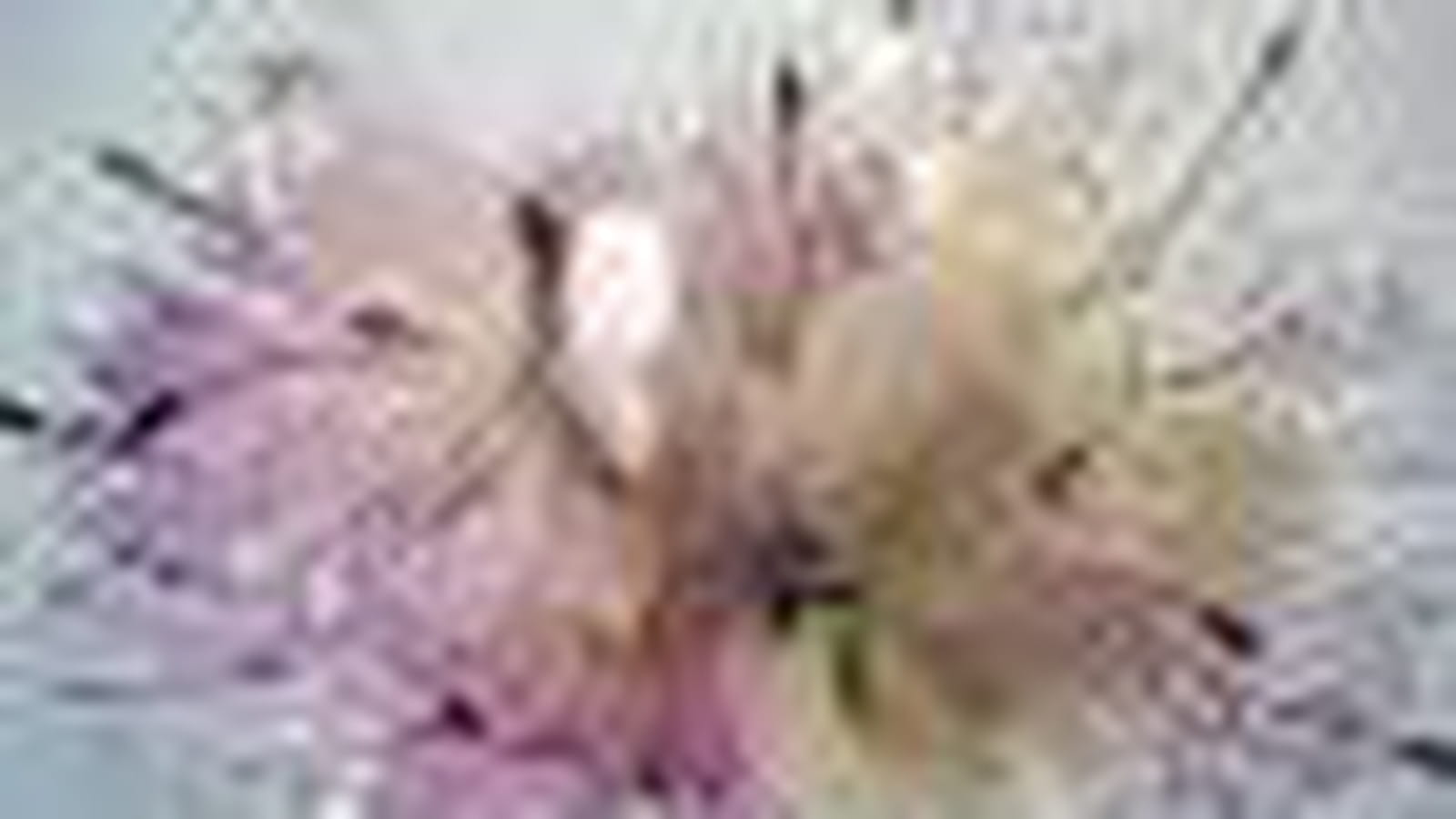 Bouquet exotique