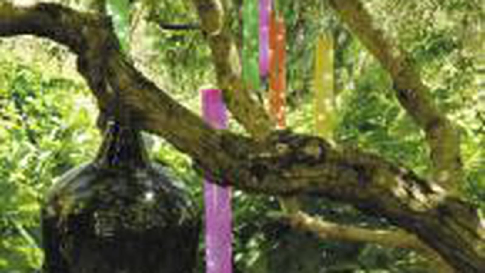 Guirlande Blachere illumination
