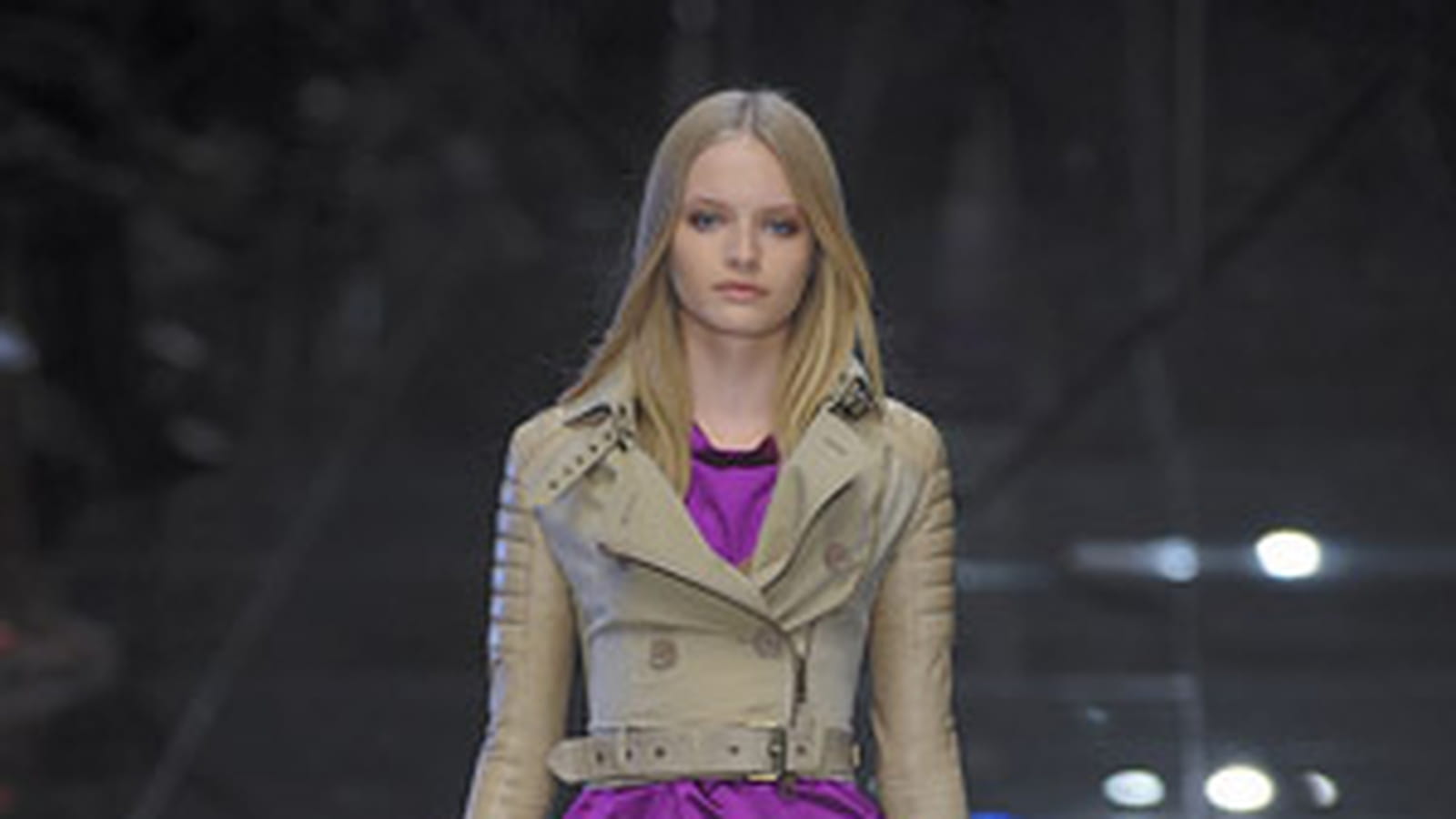 Violet élégant