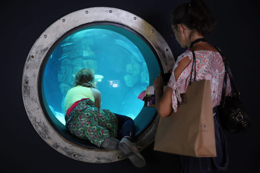Simon débarque à l'Aquarium de Paris pour une expo sur les requins !