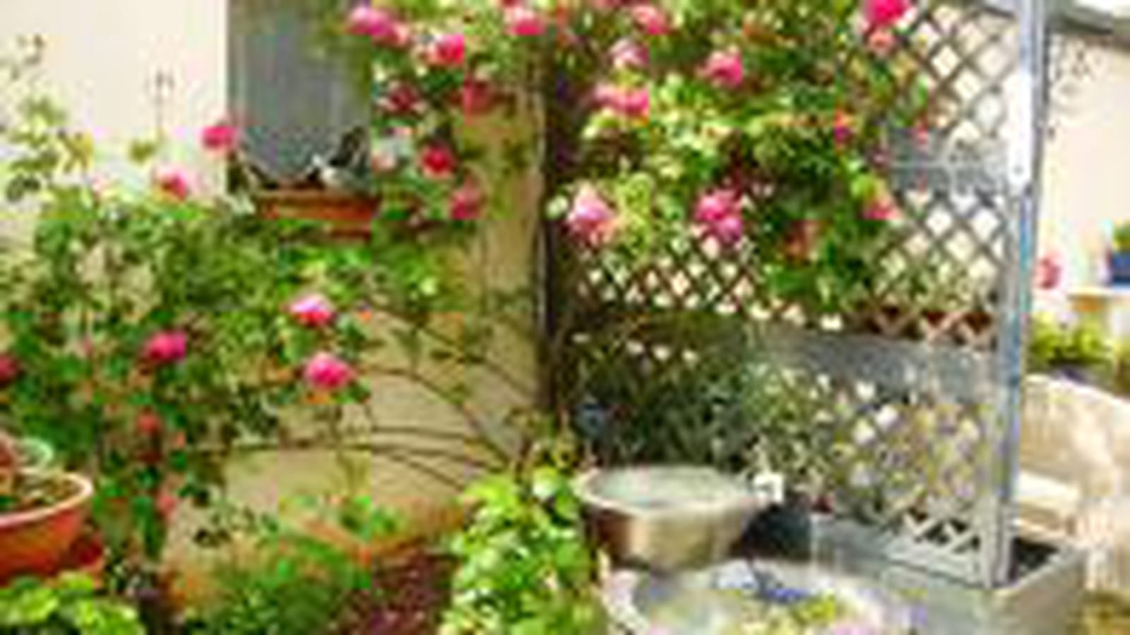 En fleurs