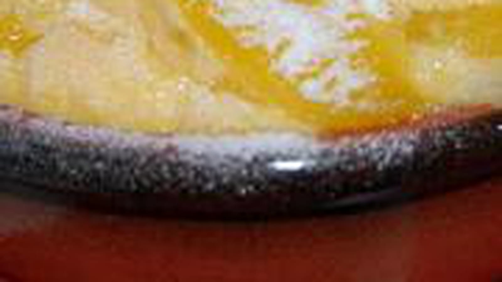 Petits clafoutis à l'orange