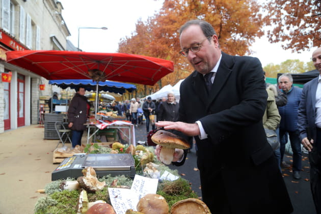 François Hollande appuie sur le champignon