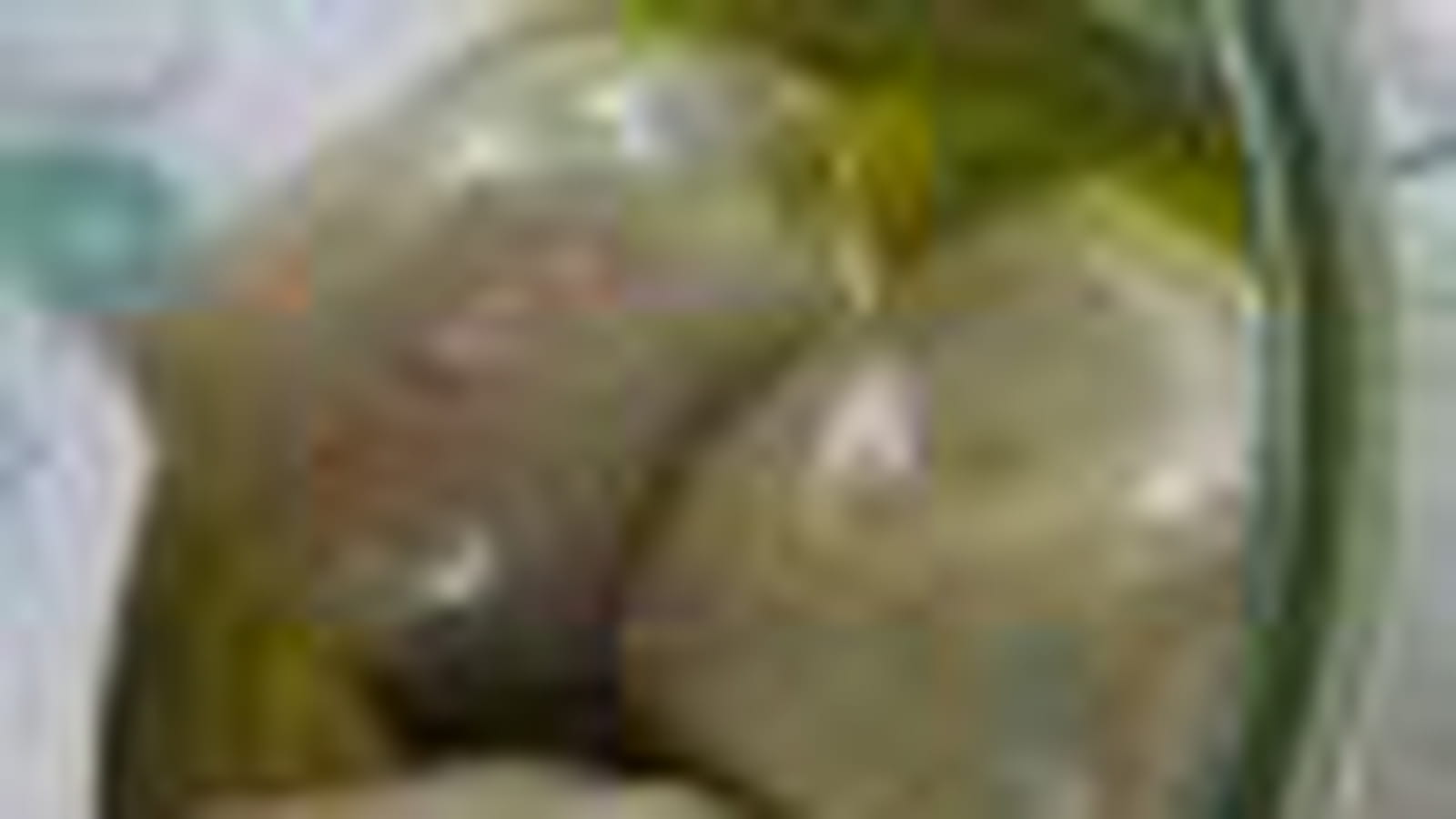 Artichaut