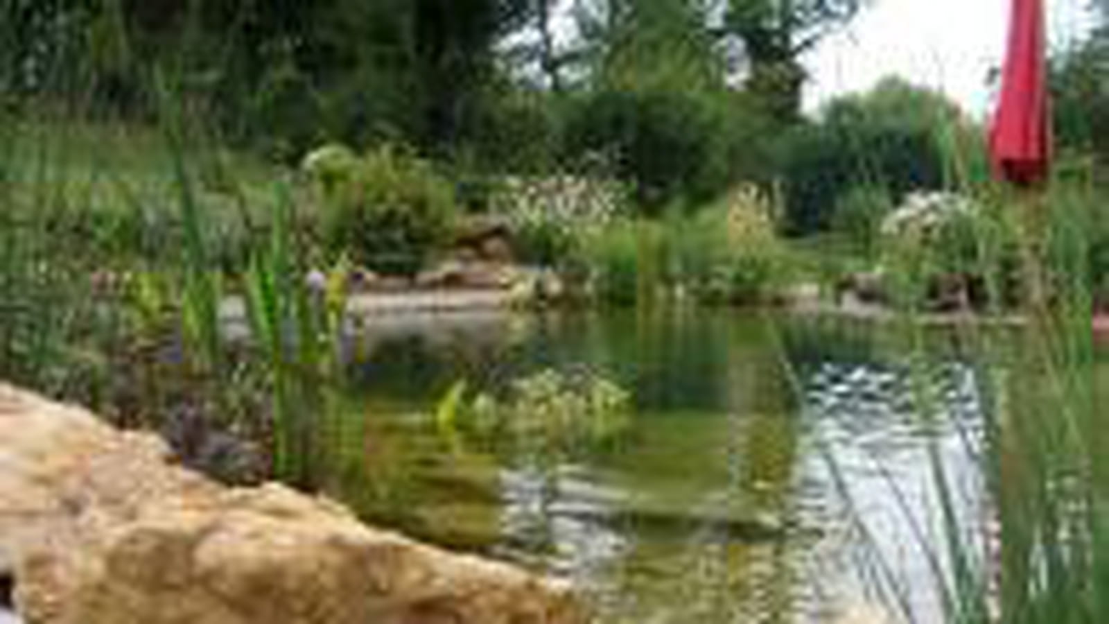 Baignade naturelle