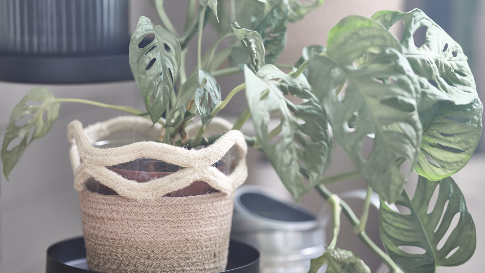 Cache-pot en jute