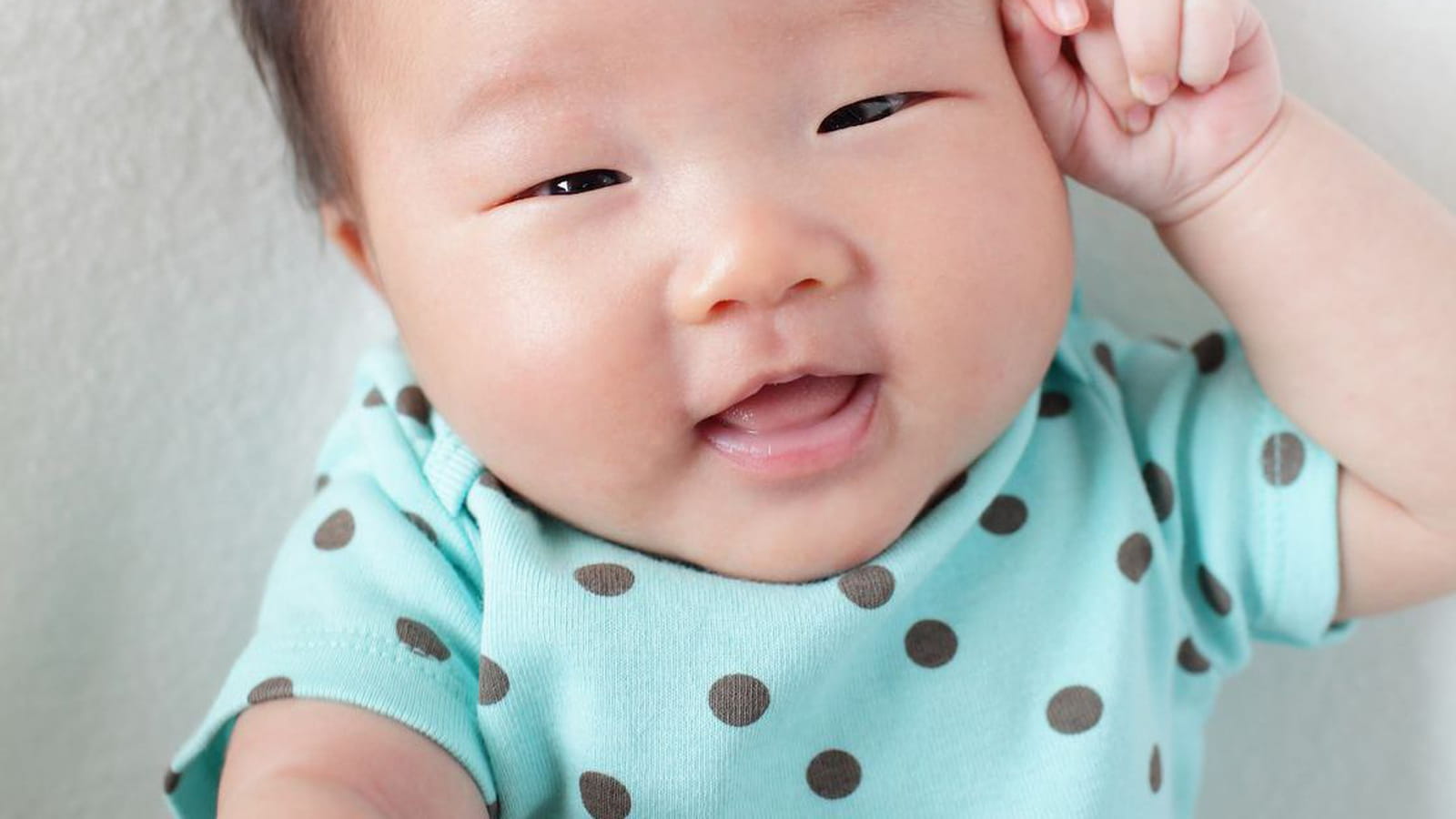 Bao