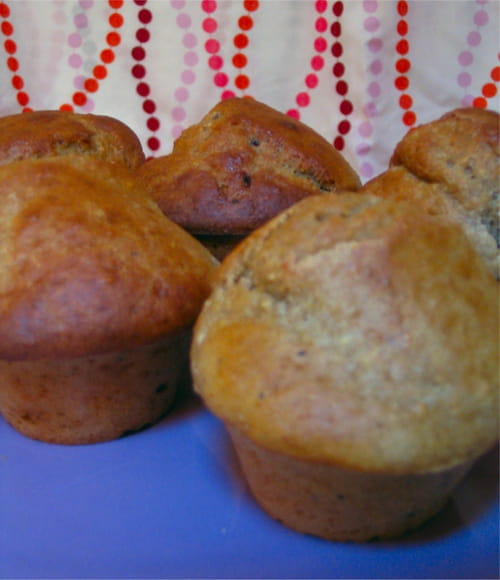 Muffins aux carottes et au cumin
