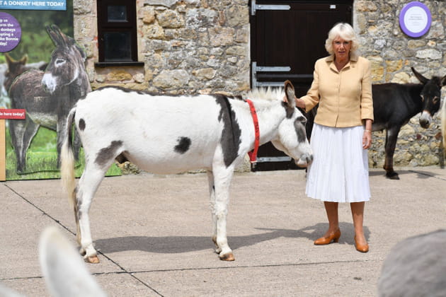 Camilla Parker Bowles, duchesse de "Cornou&acirc;nes"