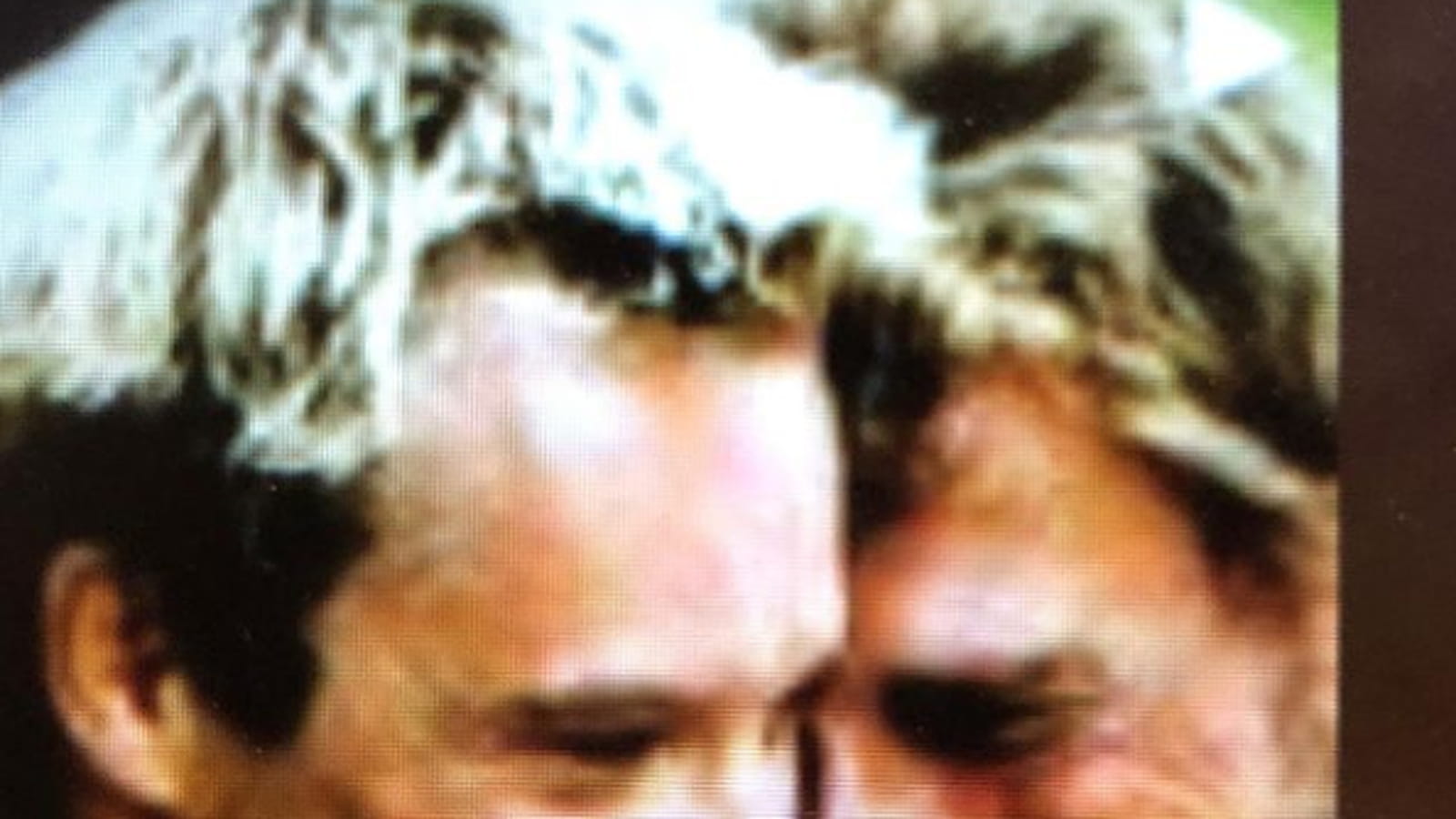 David et Johnny Hallyday