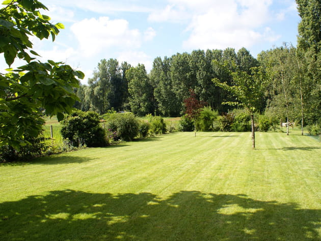 Un gazon particulièrement soigné