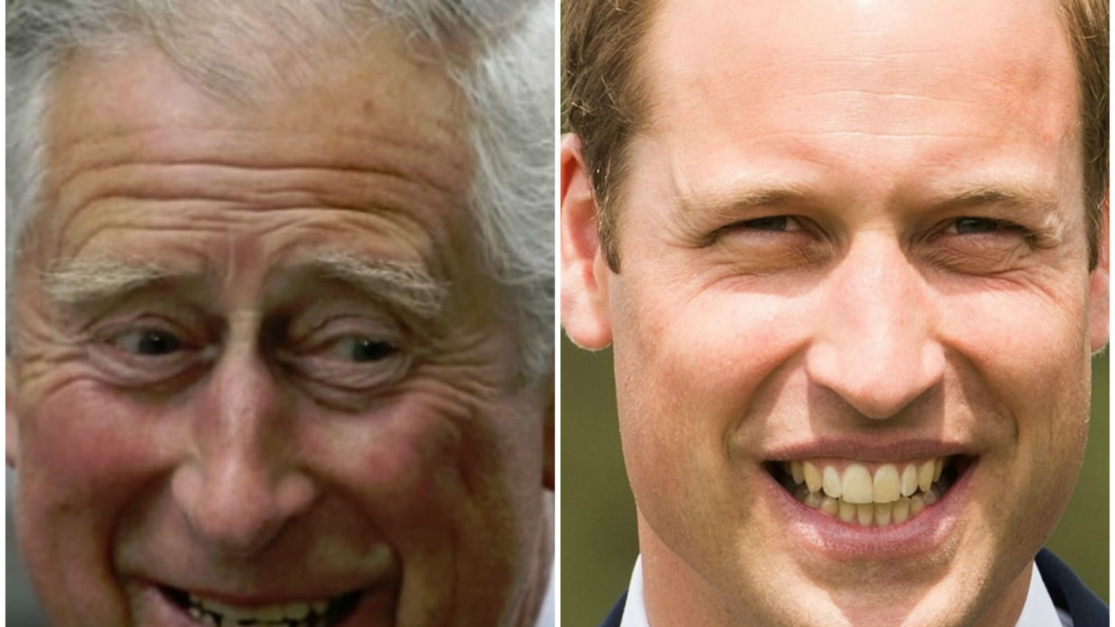Les princes Charles et William