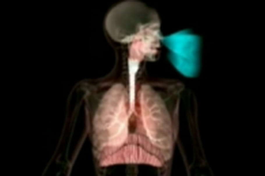 Le renouvellement de l'air par les poumons