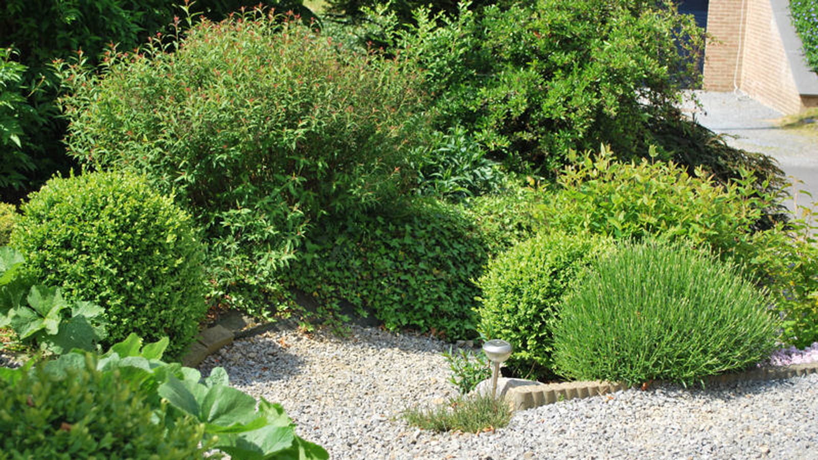 Verdure